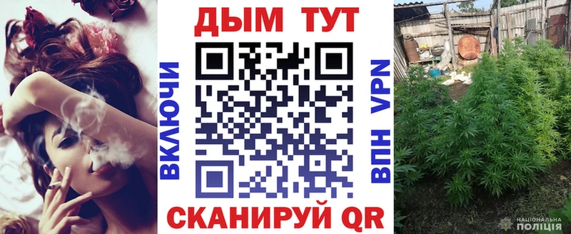Магазины продажи наркотиков Остров Альфа ПВП  КОКАИН  АМФЕТАМИН  Марихуана  Гашиш 