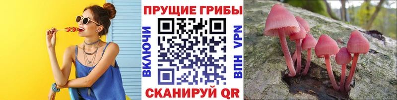 Галлюциногенные грибы мицелий  Остров 